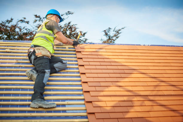 Best Gutter Installation and Repair  in Bellwood, PA